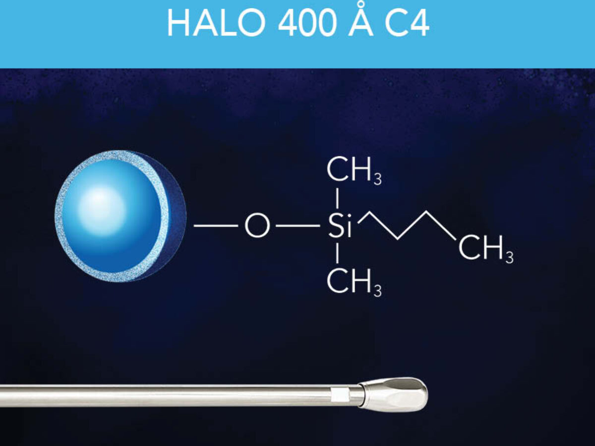 ラブカ SECL  halation BC-400-A-C4-Thumbnail-1200x900.jpg