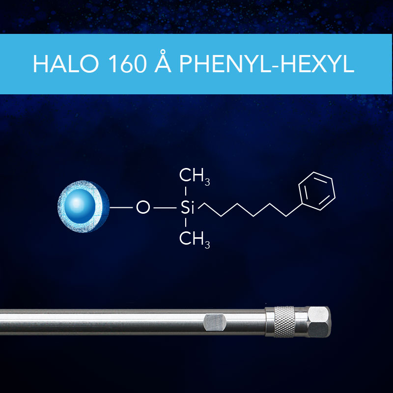 halo 160 a phenyl hexyl column