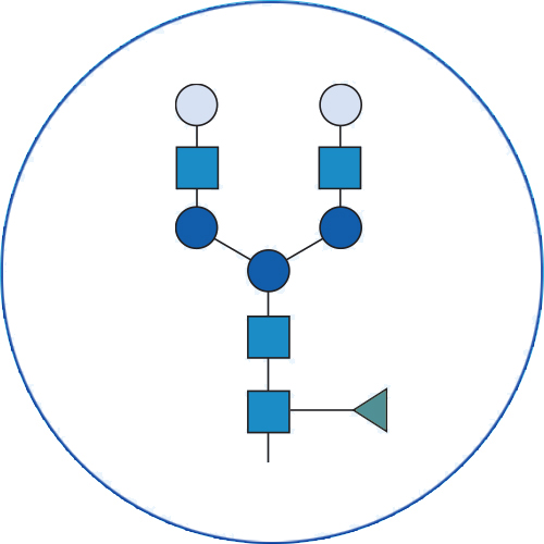 glycan analysis