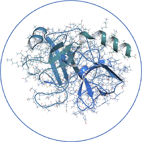 peptide separations