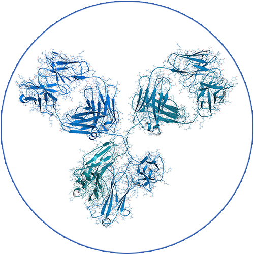 bioclass for protein separations