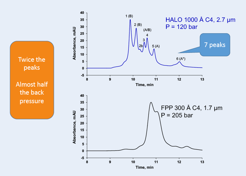 total pore access for high resolution with halo 1000 a c4 column