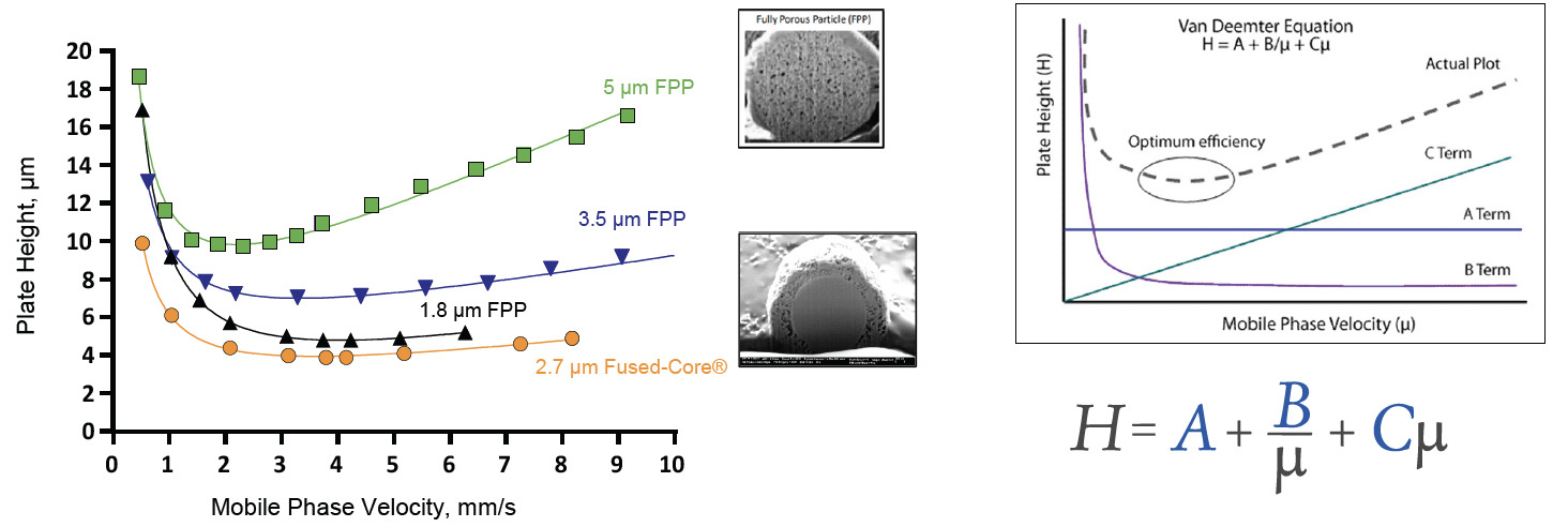 SPP PARTICLES VS FPP PARTICLES