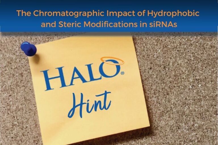 halo hint