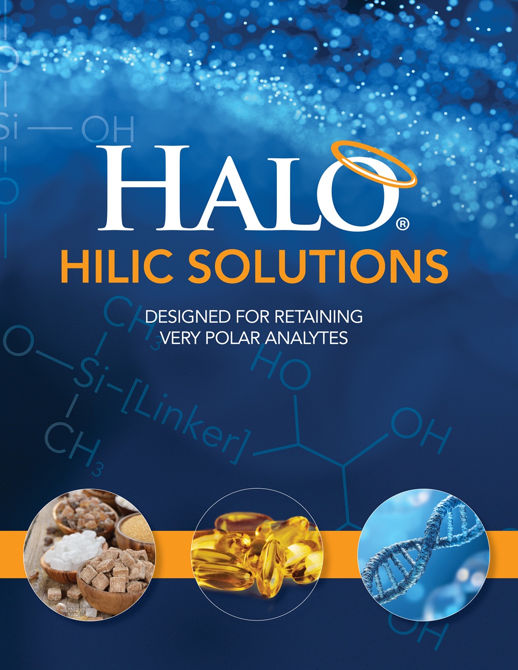HILIC Solutions brochure cover