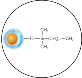ELEVATE-C18-structure-circle