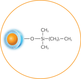 ELEVATE-C8-structure-circle