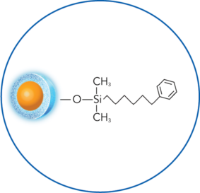ELEVATE-PH-structure-circle